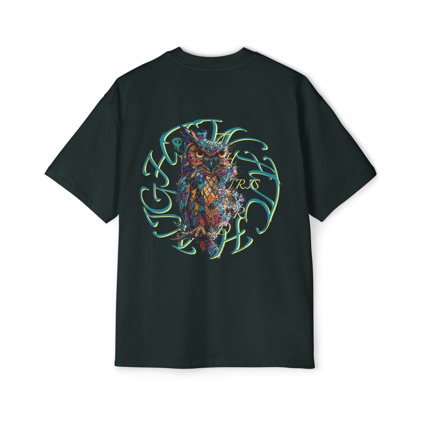 Third Eye Iris Oversized Owl Tee